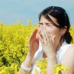 allergie-aux-pollens-d-ambroisie-risque-eleve-des-le-10-aout