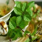 peppermint-2815679_960_720